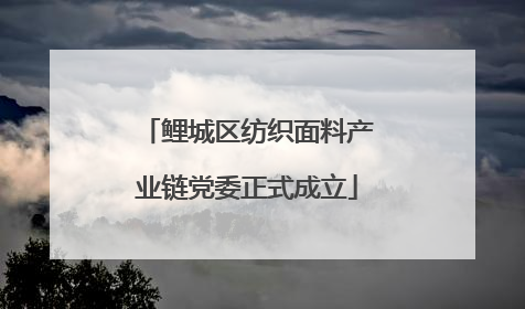 鲤城区纺织面料产业链党委正式成立