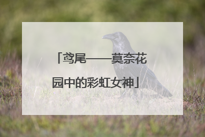鸢尾——莫奈花园中的彩虹女神