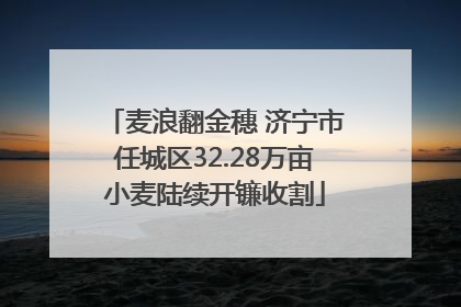 麦浪翻金穗 济宁市任城区32.28万亩小麦陆续开镰收割