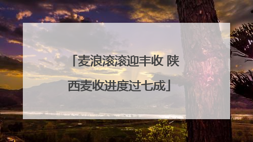 麦浪滚滚迎丰收 陕西麦收进度过七成