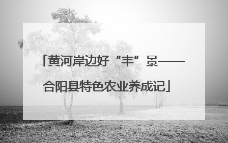 黄河岸边好“丰”景——合阳县特色农业养成记