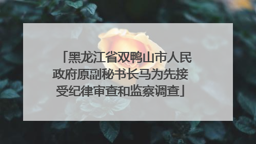 黑龙江省双鸭山市人民政府原副秘书长马为先接受纪律审查和监察调查