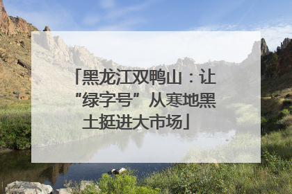 黑龙江双鸭山：让“绿字号”从寒地黑土挺进大市场
