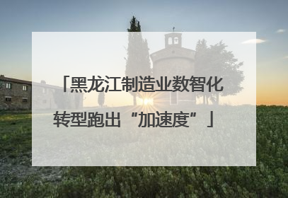 黑龙江制造业数智化转型跑出“加速度”
