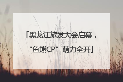黑龙江旅发大会启幕，“鱼熊CP”萌力全开
