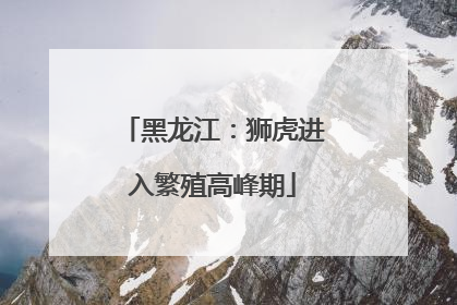 黑龙江：狮虎进入繁殖高峰期
