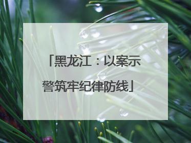黑龙江：以案示警筑牢纪律防线