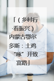 （乡村行·看振兴）内蒙古鄂尔多斯：土鸡“啄”开致富路