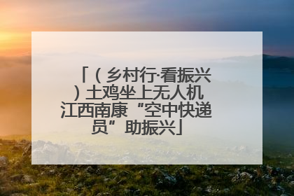 （乡村行·看振兴）土鸡坐上无人机 江西南康“空中快递员”助振兴