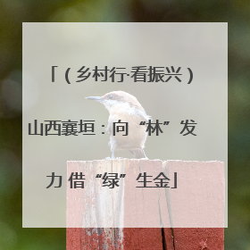 （乡村行·看振兴）山西襄垣：向“林”发力 借“绿”生金