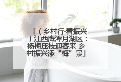 （乡村行·看振兴）江西鹰潭月湖区：杨梅压枝迎客来 乡村振兴添“梅”景