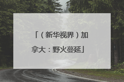 （新华视界）加拿大：野火蔓延