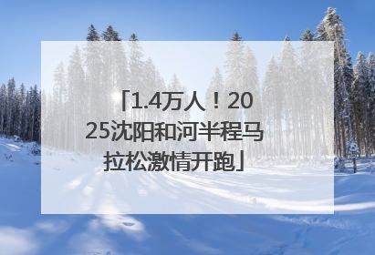 1.4万人！2025沈阳和河半程马拉松激情开跑