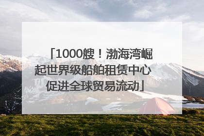 1000艘！渤海湾崛起世界级船舶租赁中心 促进全球贸易流动