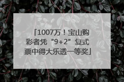 1007万！宝山购彩者凭“9+2”复式票中得大乐透一等奖