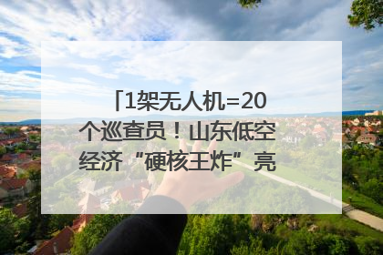1架无人机=20个巡查员！山东低空经济“硬核王炸”亮相青岛，下一个万亿赛道藏在这里