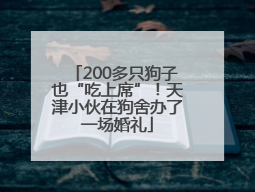 200多只狗子也“吃上席”！天津小伙在狗舍办了一场婚礼