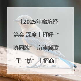 2025年廊坊经洽会·深度丨打好“协同牌” 京津冀联手“链”上招商