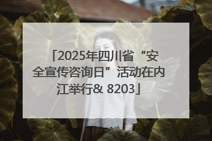 2025年四川省“安全宣传咨询日”活动在内江举行& 8203