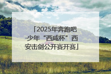2025年奔跑吧·少年“西咸杯”西安击剑公开赛开赛