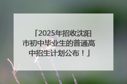 2025年招收沈阳市初中毕业生的普通高中招生计划公布！