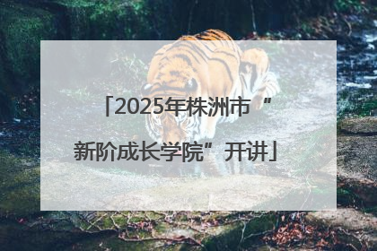 2025年株洲市“新阶成长学院”开讲