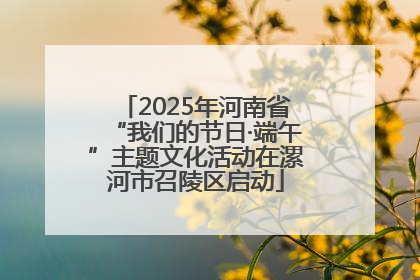 2025年河南省“我们的节日·端午”主题文化活动在漯河市召陵区启动