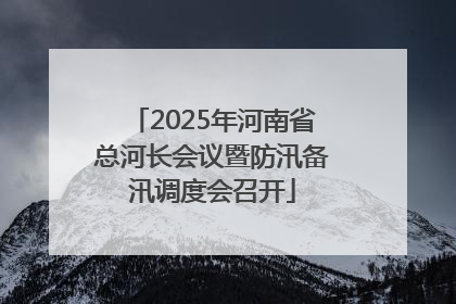 2025年河南省总河长会议暨防汛备汛调度会召开