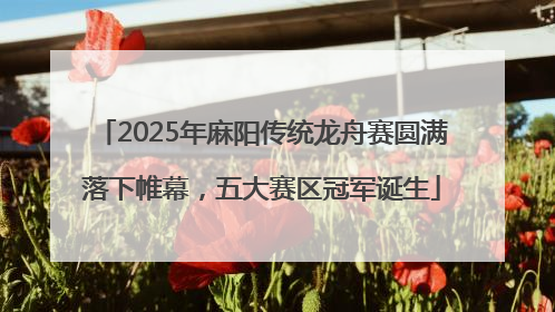 2025年麻阳传统龙舟赛圆满落下帷幕，五大赛区冠军诞生