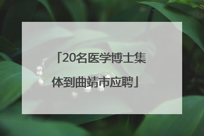 20名医学博士集体到曲靖市应聘