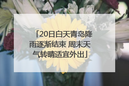 20日白天青岛降雨逐渐结束 周末天气转晴适宜外出