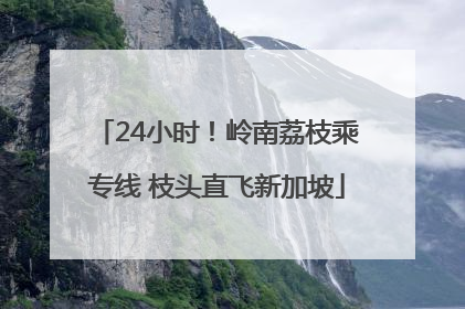 24小时！岭南荔枝乘专线 枝头直飞新加坡