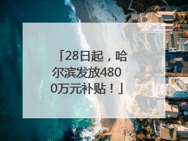 28日起，哈尔滨发放4800万元补贴！
