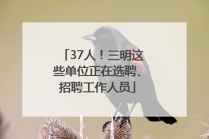 37人！三明这些单位正在选聘、招聘工作人员