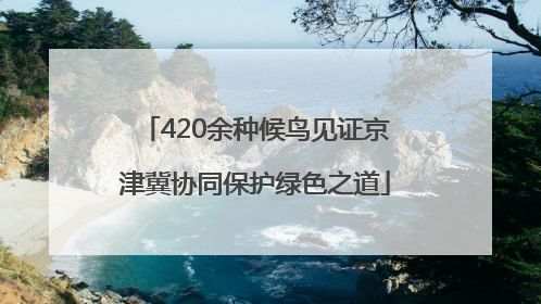 420余种候鸟见证京津冀协同保护绿色之道