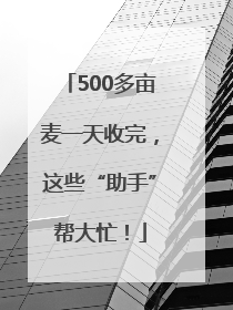 500多亩麦一天收完，这些“助手”帮大忙！
