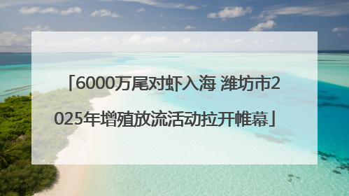6000万尾对虾入海 潍坊市2025年增殖放流活动拉开帷幕