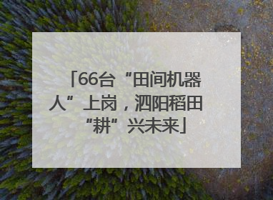 66台“田间机器人”上岗，泗阳稻田“耕”兴未来