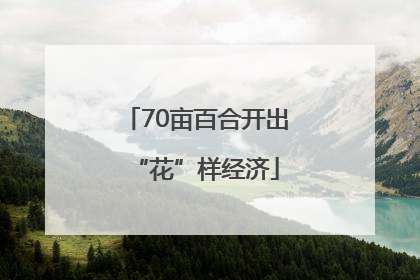 70亩百合开出“花”样经济