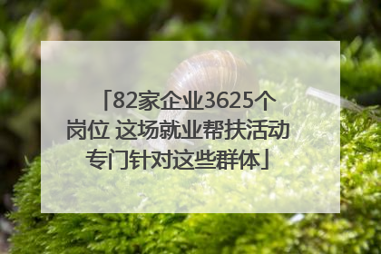 82家企业3625个岗位 这场就业帮扶活动专门针对这些群体