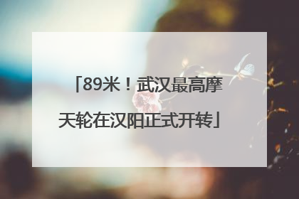 89米！武汉最高摩天轮在汉阳正式开转