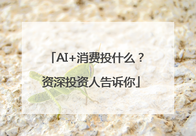 AI+消费投什么？资深投资人告诉你