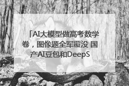 AI大模型做高考数学卷，图像题全军覆没 国产AI豆包和DeepSeek均得分144