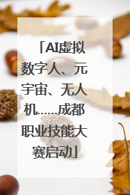 AI虚拟数字人、元宇宙、无人机……成都职业技能大赛启动