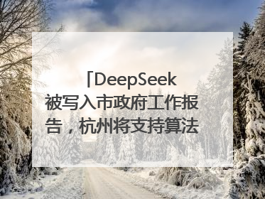 DeepSeek被写入市政府工作报告，杭州将支持算法模型企业发展