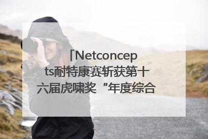 Netconcepts耐特康赛斩获第十六届虎啸奖“年度综合服务商”大奖
